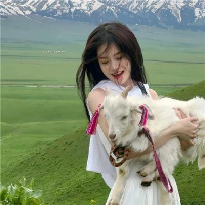 马达加斯加2